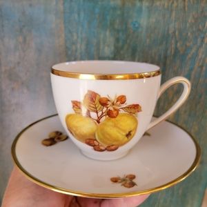 Vintage Schmid Germany Teacup & Saucer ~ MCM ~ FINAL PRICE!